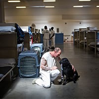 Bryan Meltz: Prison Puppies